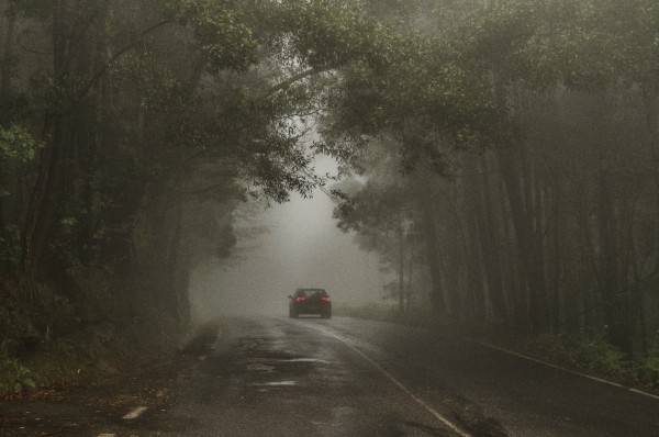 car on a foggy road